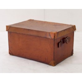 TRUNK-17X24 DK BRN LEATHER