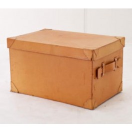 TRUNK-14X21-TAN LEATHER