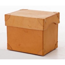 TRUNK-9X12 TAN LEATHER