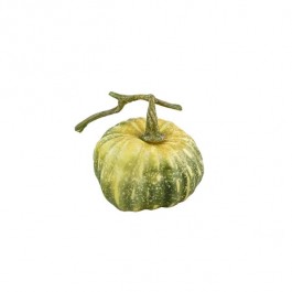 PUMPKIN-Small Green & Yellow Pumpkin