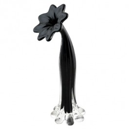 VASE-BLACK-BLOSSOM