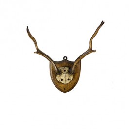 Sm Deer Antler W/Brown Placque