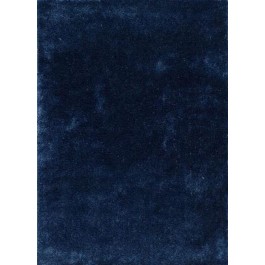 RUG-(5' x 7')Indigo Shag