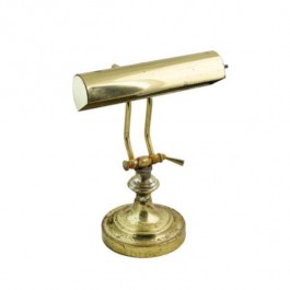 LAMP-TABLE-Brass/Rusted-Gooseneck-Hooded Shade
