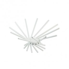 SCULPTURE-Small White Sea Urchin