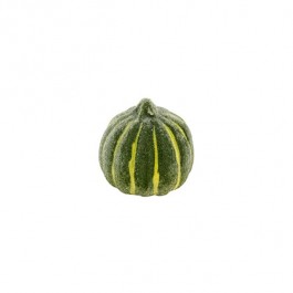 SQUASH-Miniture Green Frosted