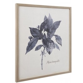 FRAMED PRINT-Alpine Honeysuckle W/Limed Wood Frame