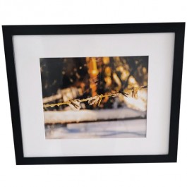 FRAMED PHOTOGRAPY-Frozen Clothes Line/Color