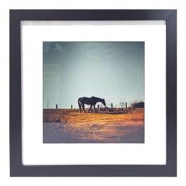 FRAMED PHOTOGRAPHY-Horse in Barn