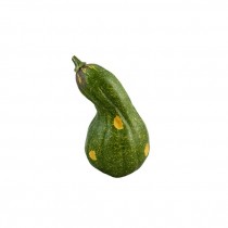 GOURD- Green W/Yellow Spots