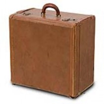 LUGGAGE-BROWN LEATHER CUBE