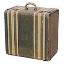 SUITCASE-GREEN/TAN STRIPES-CUB