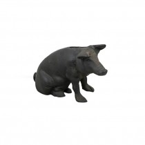 BANK-Black Cast Iron Pig-Sitting