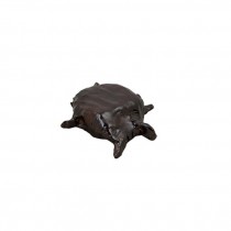 Turtle-Crude Clay Turtle W/Brown Glaze