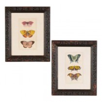 PRINT-SET2-BUTTERFLIES HAND CO