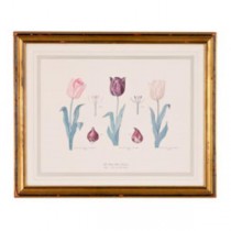 PRINT-TULIPS/GOLD FRAME