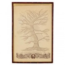 PRINT-FR-"DEVELOPMENT OF VIOLI
