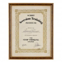 DIPLOMA.FR-SCHIFF AVERSION TRAINING INST