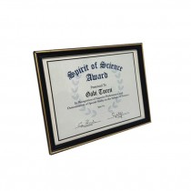 (85170006)FRAMED AWARD-Spirit of Science-Gabi Toren