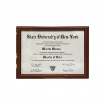 (85170007)FRAMED AWARD-UNI NY-Master of Arts-Martin Mendez