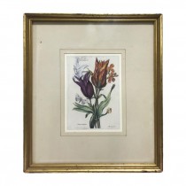 PRINT-SETOF3-14X16-BOTANICAL-G