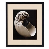 PRINT-PR-20X24-SEASHELL PHOTO-