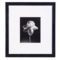 PRINT-24X26-SETOF3-FLOWERHEAD