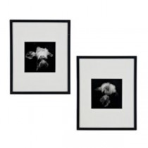 PRINT-17X21-SETOF2-B&W-IRIS