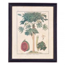 PRINT-18X22-PAPAYA TREE