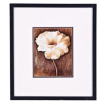 PRINT-17X19-WHITE POPPY/BRN BA