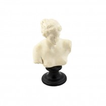 BUST- Nude Female Blk Stand