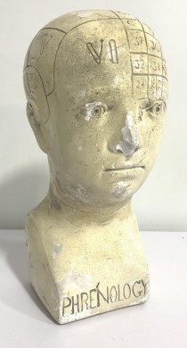 BUST- White Labeled Head