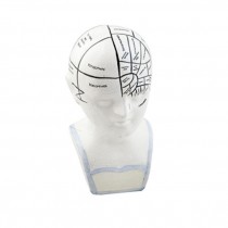 BUST- White Phrenology Bust w/Blue Accents