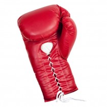 Giant Boxing Glove