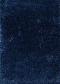 RUG-(5' x 7')Indigo Shag