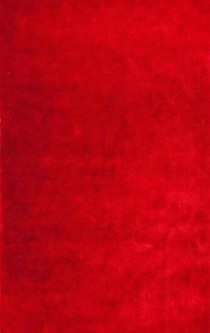 RUG-(5' x 7')Tomato Red Shag