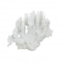 SCULPTURE-White Fan Coral