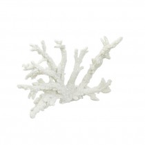 SCULPTURE-White Coral (Finger Limbs)