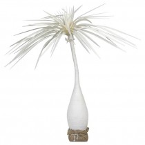 PONY TAIL PALM TREE- Natural Canvas W/Natural Burlap Base