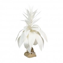 SMALL PALM TREE-Natural Canvas Bromelaid Plant