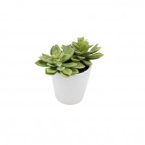 FAUX SUCCULANT-Green Jacobs Ladder in White Pot