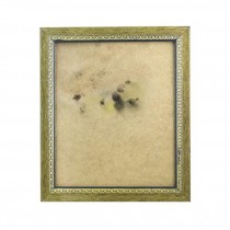 PICTURE FRAME-Brown & Gold