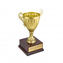 GOLD CUP TROPHY-"Life Time Achievement Award..."
