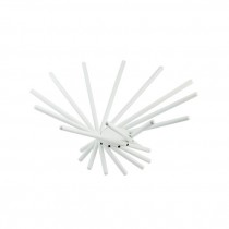 SCULPTURE-Small White Sea Urchin