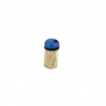 TOOTHPICK HOLDER-Plastic w/ Blue Top