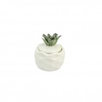 CANDLE-White Ceramic Pineapple W/Lid