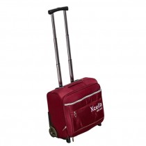 SUITCASE-Small Carry On W/Wheels