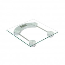 SCALE-Portable Digital Glass