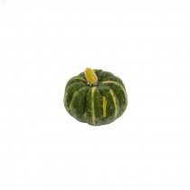 PUMPKIN-Miniture Green Frosted