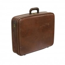 SUITCASE-Small Brown Alligator Print